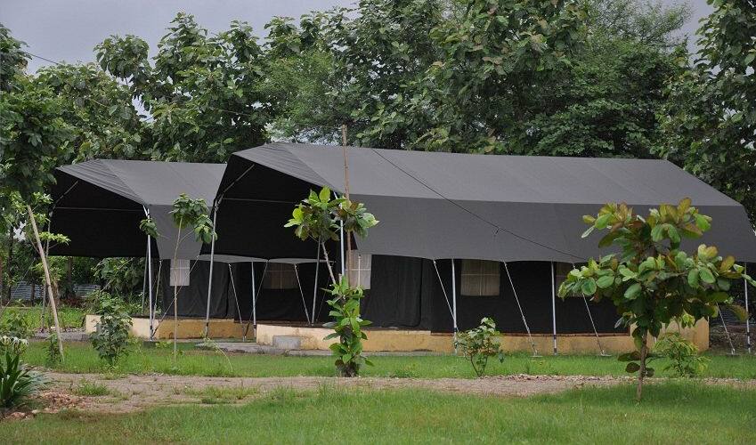 Olive Nature Park & Resort, Nagpur 3